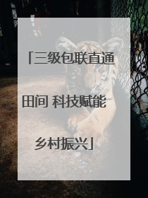 三级包联直通田间 科技赋能乡村振兴