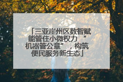 三亚崖州区数智赋能管住小微权力 “机器管公章”，构筑便民服务新生态