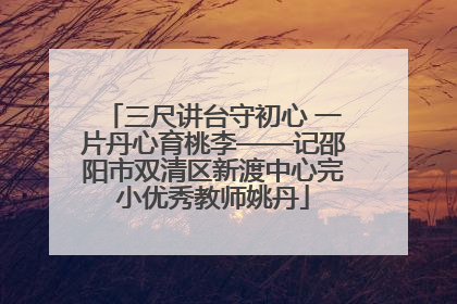 三尺讲台守初心 一片丹心育桃李——记邵阳市双清区新渡中心完小优秀教师姚丹