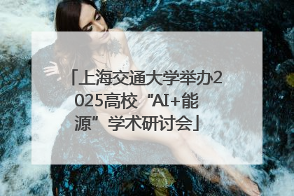 上海交通大学举办2025高校“AI+能源”学术研讨会