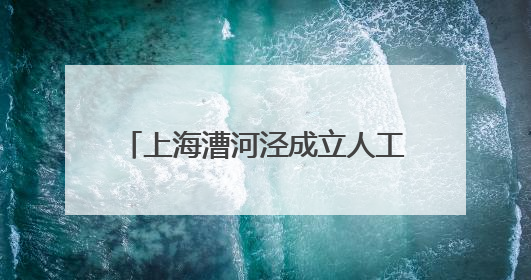 上海漕河泾成立人工智能分中心，将打造AI技能人才培养高地