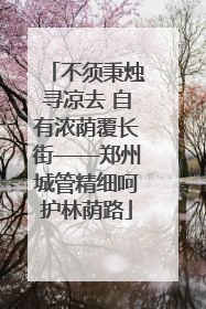 不须秉烛寻凉去 自有浓荫覆长街——郑州城管精细呵护林荫路