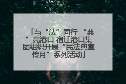 与“法”同行 “典”亮港口 宿迁港口集团组织开展“民法典宣传月”系列活动