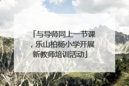 与导师同上一节课，乐山柏杨小学开展新教师培训活动