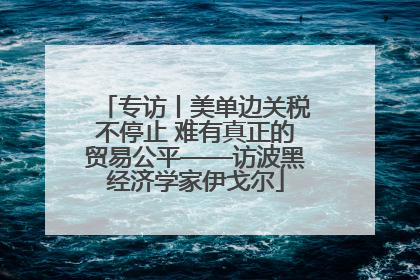专访丨美单边关税不停止 难有真正的贸易公平——访波黑经济学家伊戈尔