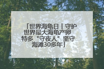 世界海龟日丨守护世界最大海龟产卵 特多“守夜人”坚守海滩30多年