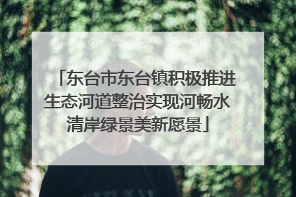 东台市东台镇积极推进生态河道整治实现河畅水清岸绿景美新愿景