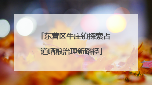 东营区牛庄镇探索占道晒粮治理新路径