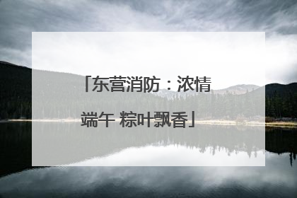 东营消防：浓情端午 粽叶飘香