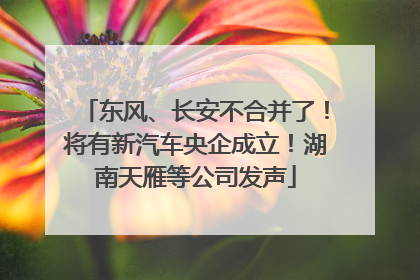 东风、长安不合并了！将有新汽车央企成立！湖南天雁等公司发声