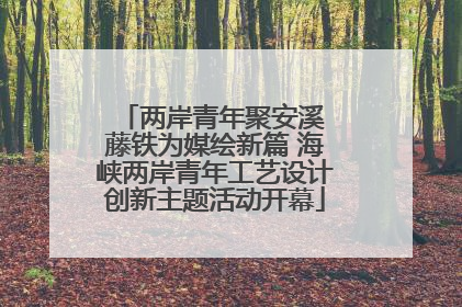 两岸青年聚安溪 藤铁为媒绘新篇 海峡两岸青年工艺设计创新主题活动开幕