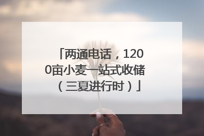 两通电话，1200亩小麦一站式收储（三夏进行时）