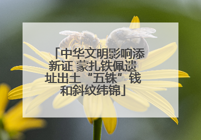 中华文明影响添新证 蒙扎铁佩遗址出土“五铢”钱和斜纹纬锦