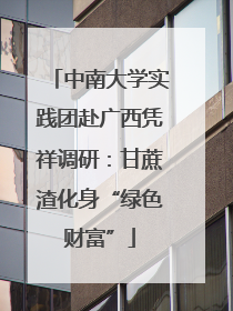 中南大学实践团赴广西凭祥调研：甘蔗渣化身“绿色财富”