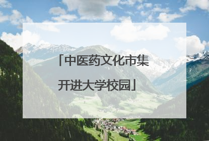 中医药文化市集开进大学校园