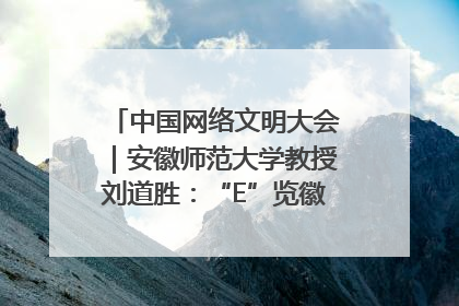 中国网络文明大会｜安徽师范大学教授刘道胜：“E”览徽风，构筑中华民族共有精神家园
