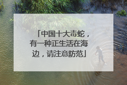 中国十大毒蛇，有一种正生活在海边，请注意防范