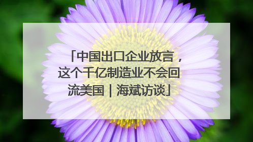 中国出口企业放言，这个千亿制造业不会回流美国｜海斌访谈