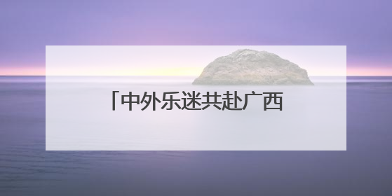 中外乐迷共赴广西县域“摇滚”之约