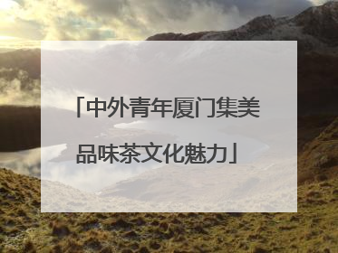 中外青年厦门集美品味茶文化魅力