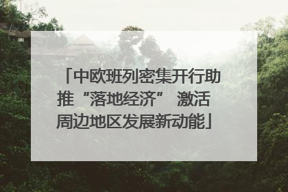 中欧班列密集开行助推“落地经济” 激活周边地区发展新动能