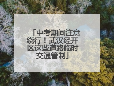 中考期间注意绕行！武汉经开区这些道路临时交通管制