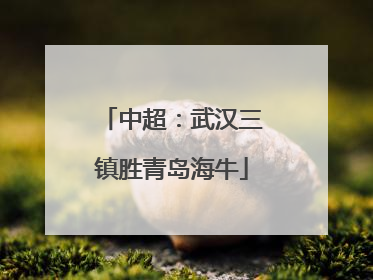 中超：武汉三镇胜青岛海牛