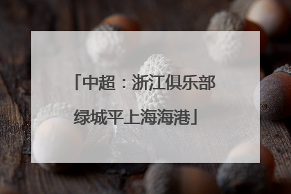 中超：浙江俱乐部绿城平上海海港