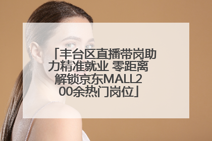 丰台区直播带岗助力精准就业 零距离解锁京东MALL200余热门岗位
