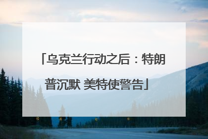 乌克兰行动之后：特朗普沉默 美特使警告