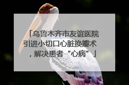 乌鲁木齐市友谊医院引进小切口心脏换瓣术，解决患者“心病”