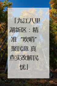 九江八里湖新区：精准“吹哨”聚民意 真查实改解民忧