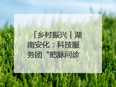 乡村振兴｜湖南安化：科技服务团“把脉问诊”水果产业