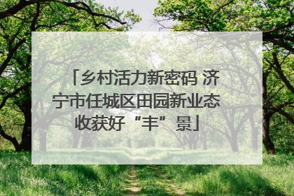 乡村活力新密码 济宁市任城区田园新业态收获好“丰”景