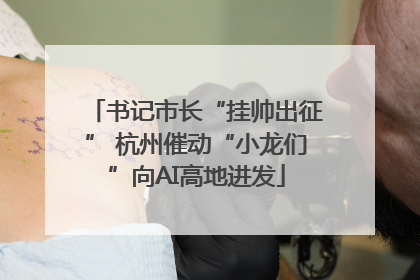 书记市长“挂帅出征” 杭州催动“小龙们”向AI高地进发