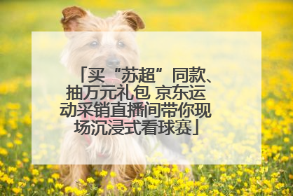 买“苏超”同款、抽万元礼包 京东运动采销直播间带你现场沉浸式看球赛