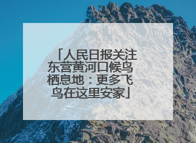 人民日报关注东营黄河口候鸟栖息地：更多飞鸟在这里安家