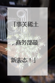 事关稀土，商务部最新表态！