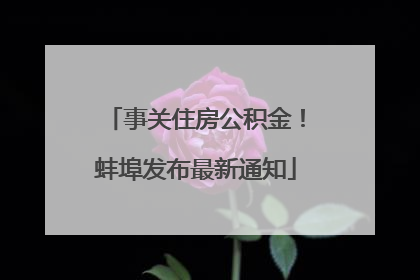事关住房公积金！蚌埠发布最新通知