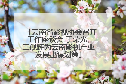 云南省影视协会召开工作座谈会 于荣光、王砚辉为云南影视产业发展出谋划策