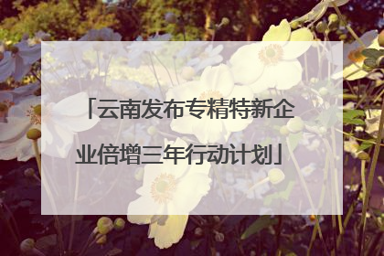 云南发布专精特新企业倍增三年行动计划