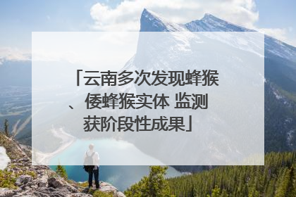 云南多次发现蜂猴、倭蜂猴实体 监测获阶段性成果