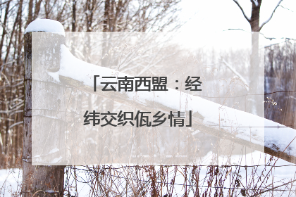 云南西盟：经纬交织佤乡情