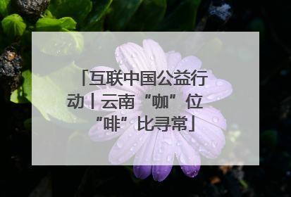 互联中国公益行动丨云南“咖”位“啡”比寻常