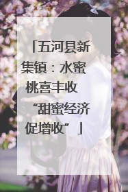 五河县新集镇：水蜜桃喜丰收 “甜蜜经济促增收”