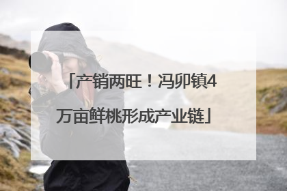 产销两旺！冯卯镇4万亩鲜桃形成产业链
