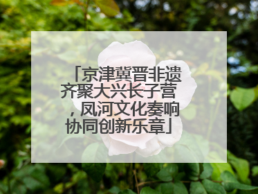 京津冀晋非遗齐聚大兴长子营，凤河文化奏响协同创新乐章