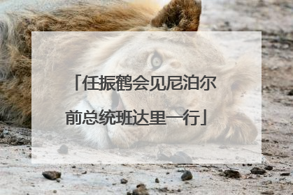 任振鹤会见尼泊尔前总统班达里一行