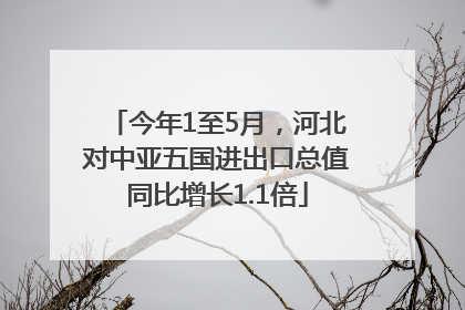 今年1至5月，河北对中亚五国进出口总值同比增长1.1倍