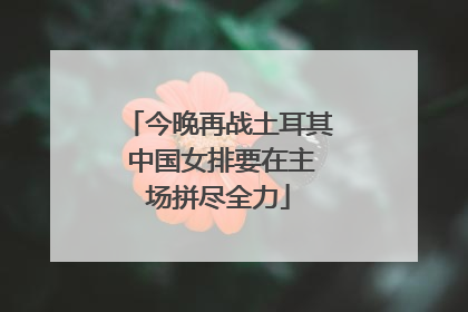 今晚再战土耳其 中国女排要在主场拼尽全力